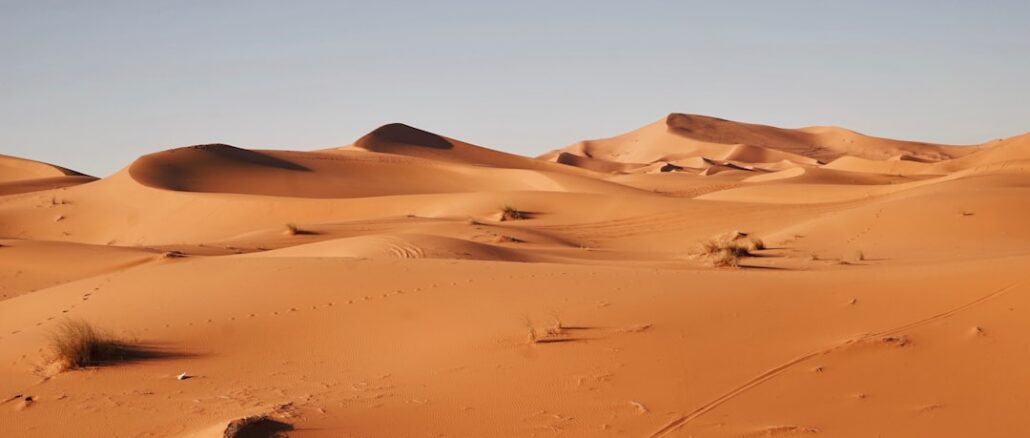 Taklamakan Wüste, Entstehung, Klima, Leben und Schutz der großen Sandwüste Chinas