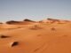 Taklamakan Wüste, Entstehung, Klima, Leben und Schutz der großen Sandwüste Chinas